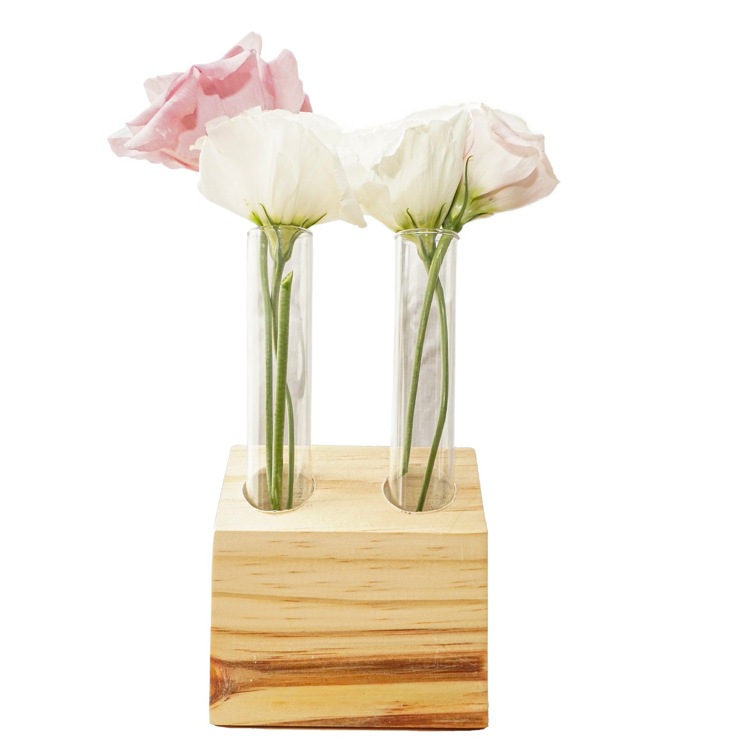 2-Tube Wooden Propagation Station – Minimalist Plant Cutting Holder