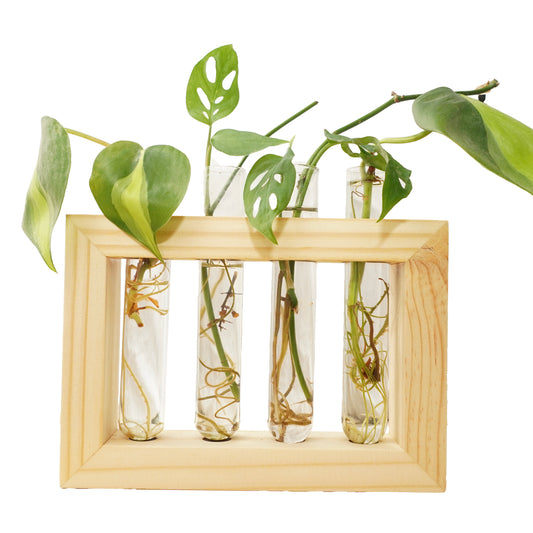 4-Tube Wooden Frame Propagation Station – Window Style Plant Holder