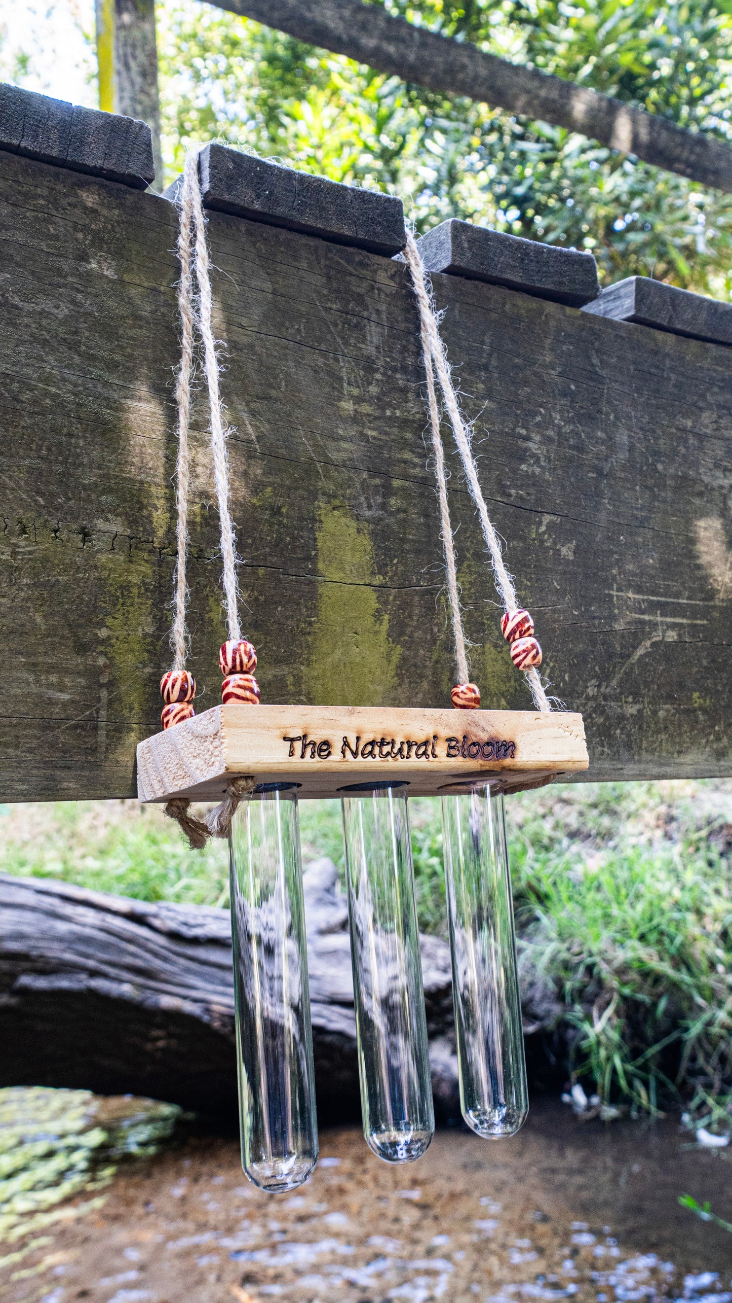 3-Tube Hanging Propagation Station – Hanging Wooden Plant Holder