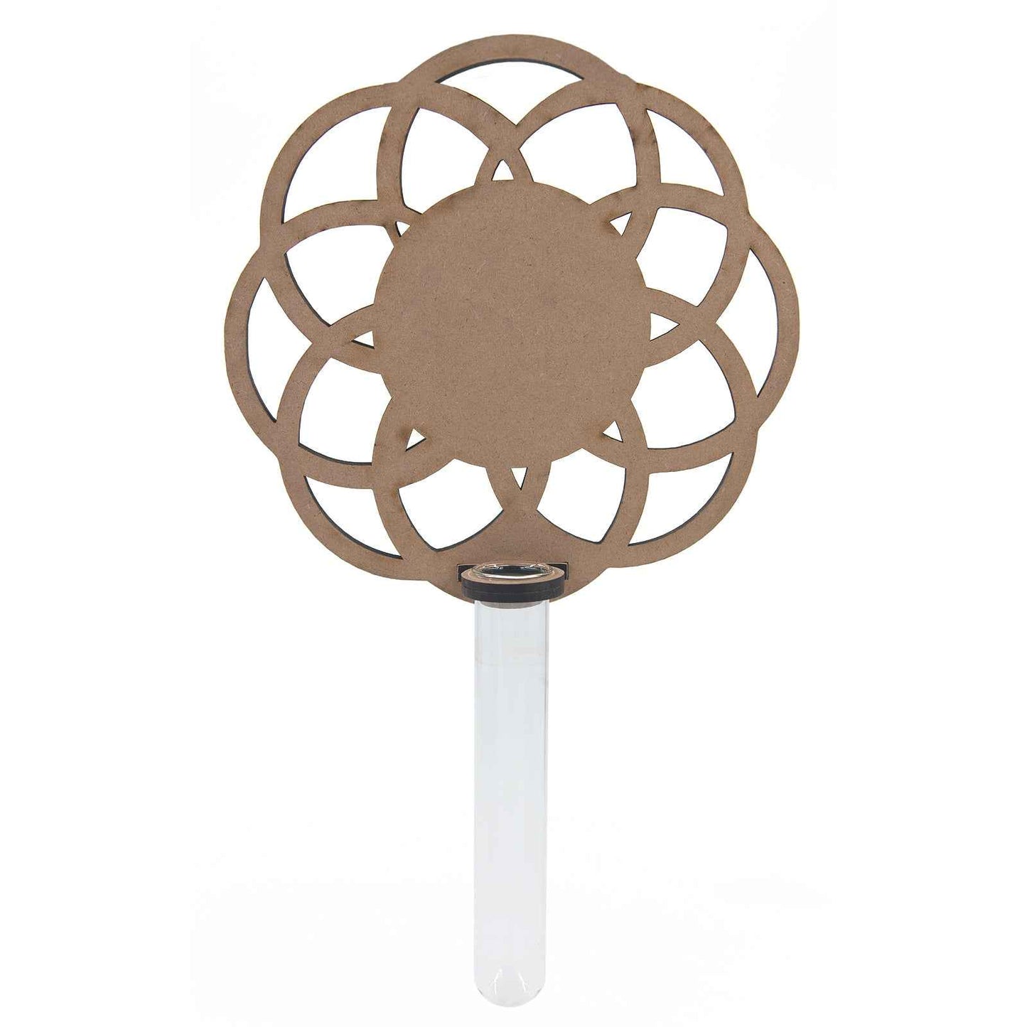 Laser-cut geometric floral wall vase with clear glass tube for minimalist plant propagation displays