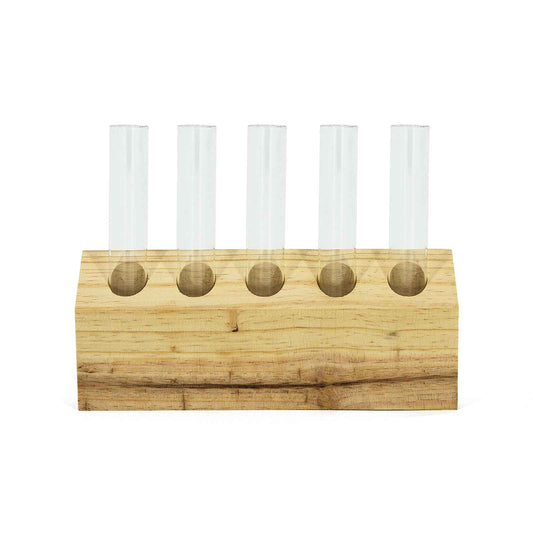 Modern minimalist 5-tube slanted stand showing natural wood grain and glass test tubes for water propagation
