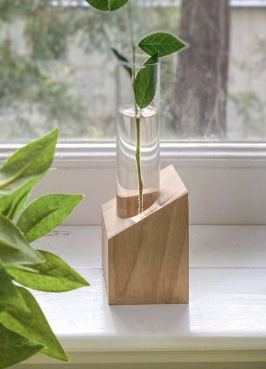 Single-Tube slanted Wooden Propagation Station – Minimal Plant Cutting Holder