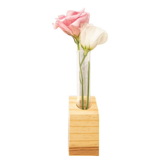 Single-Tube slanted Wooden Propagation Station – Minimal Plant Cutting Holder