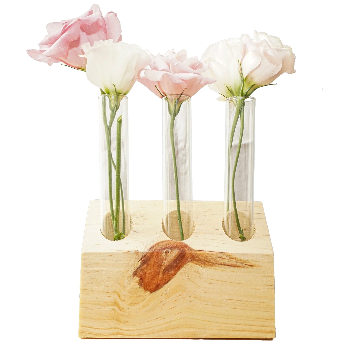 3-Tube slanted Wooden Plant Propagation Station – Modern Minimalist Decor