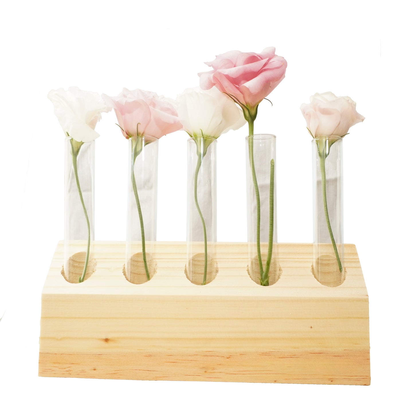 5-Tube slanted Wooden Propagation Station – Modern Plant Cutting Display