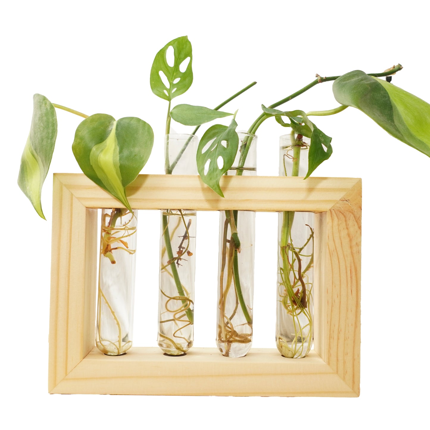 4-Tube Wooden Frame Propagation Station – Window Style Plant Holder