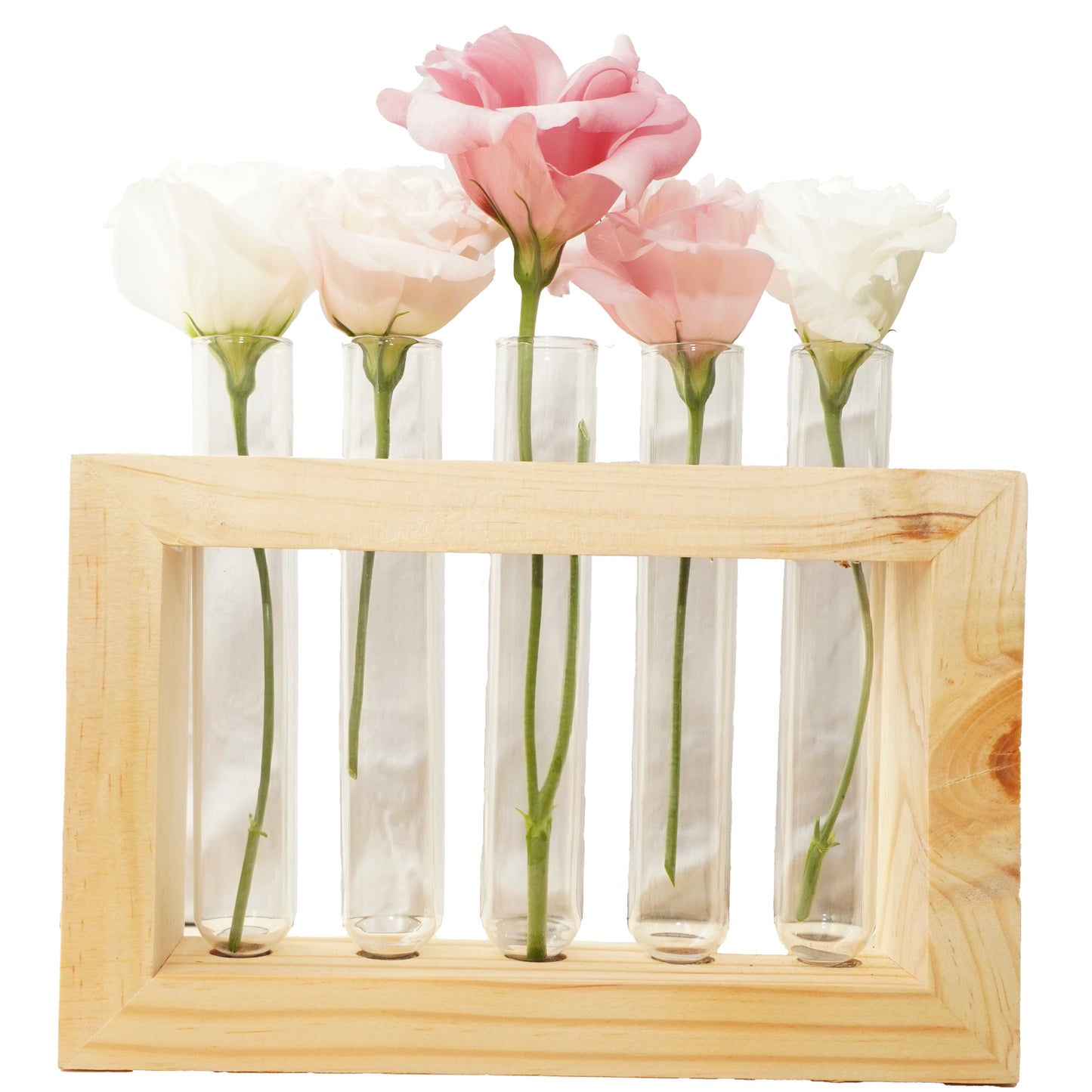 5-Tube Wooden Frame Propagation Station – Window Style Plant Holder