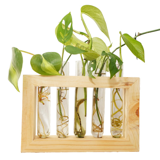 5-Tube Wooden Frame Propagation Station – Window Style Plant Holder