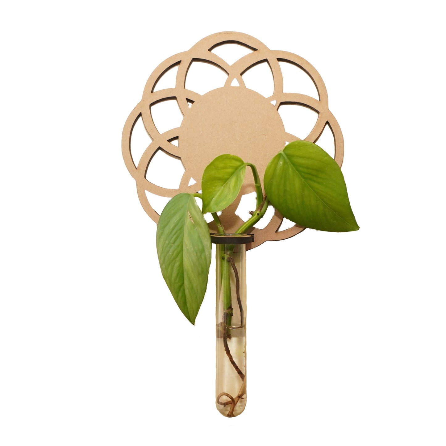 Geometric Floral Wall Vase – Laser-Cut Wooden Holder with Glass Tube