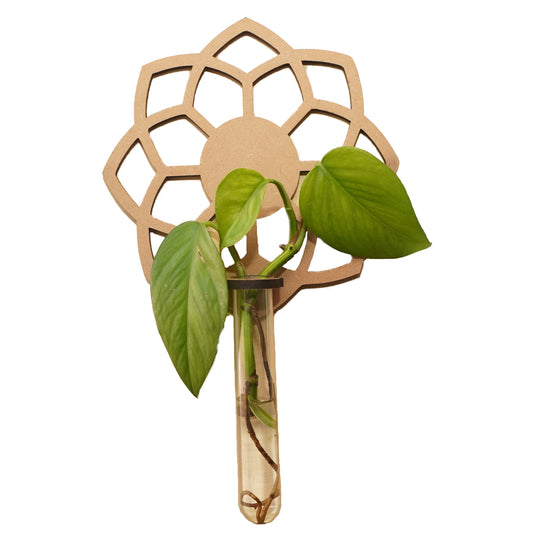 Mandala-Inspired Wooden Wall Vase – Minimalist Glass Tube Holder for Floral Display