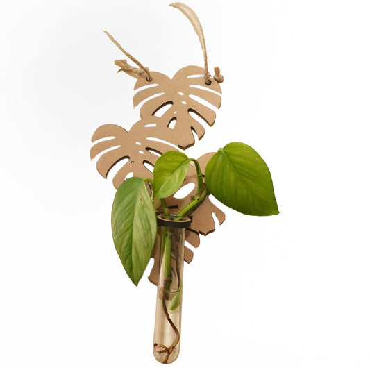 Hanging Monstera Leaf Wall Vase – Rustic Wooden Plant Propagation Station