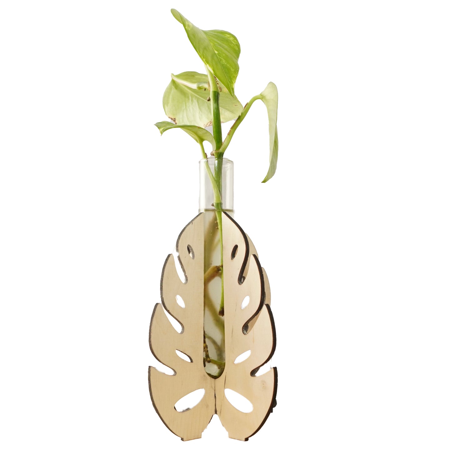 Small Monstera Leaf Wooden Stand Test Tube Vase – Minimalist Botanical Decor