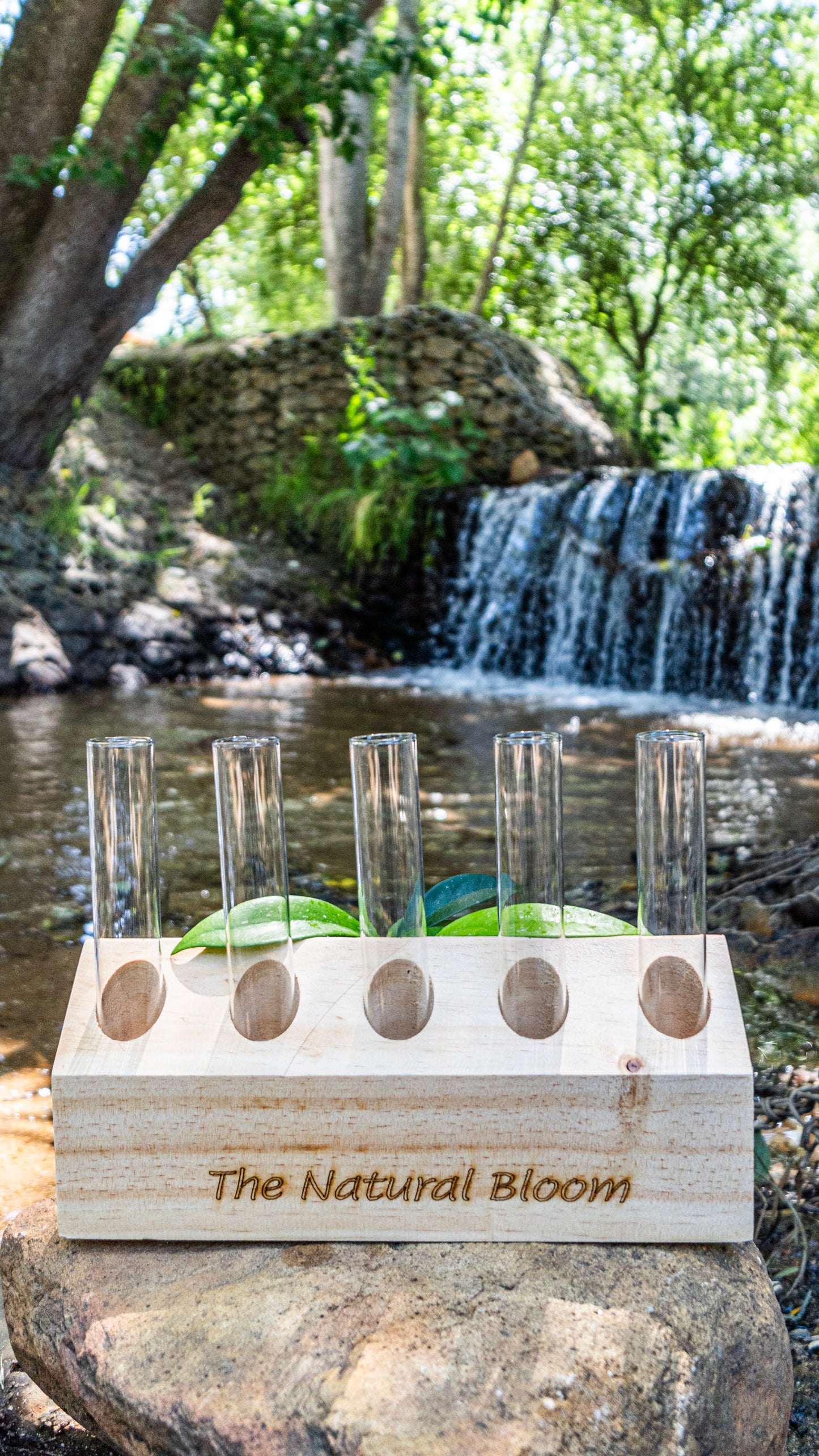 5-Tube slanted Wooden Propagation Station – Modern Plant Cutting Display