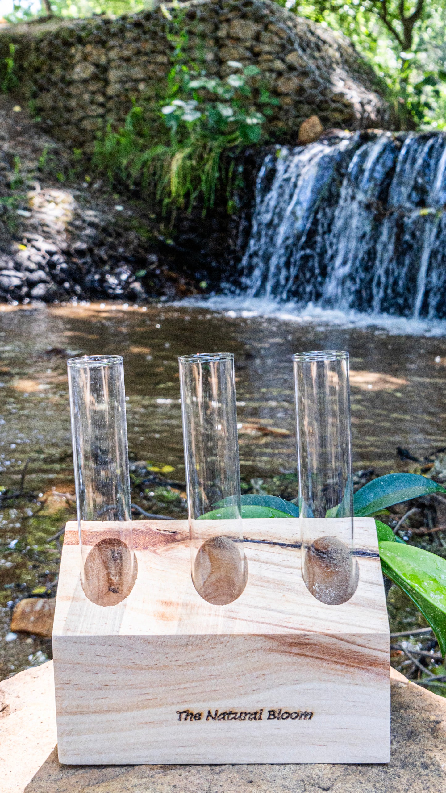 3-Tube slanted Wooden Plant Propagation Station – Modern Minimalist Decor