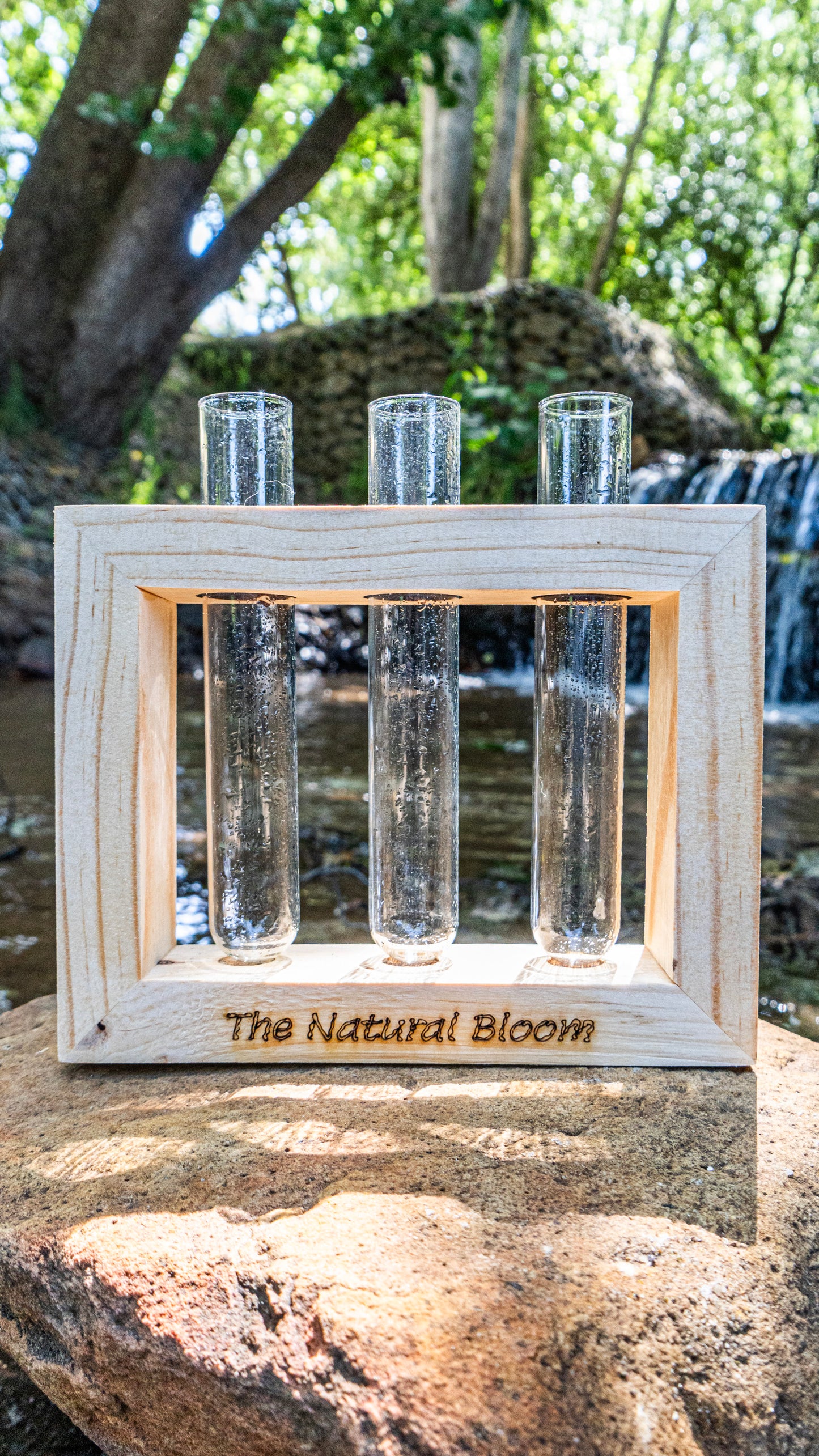 3-Tube Wooden Frame Propagation Station – Window Style Plant Holder