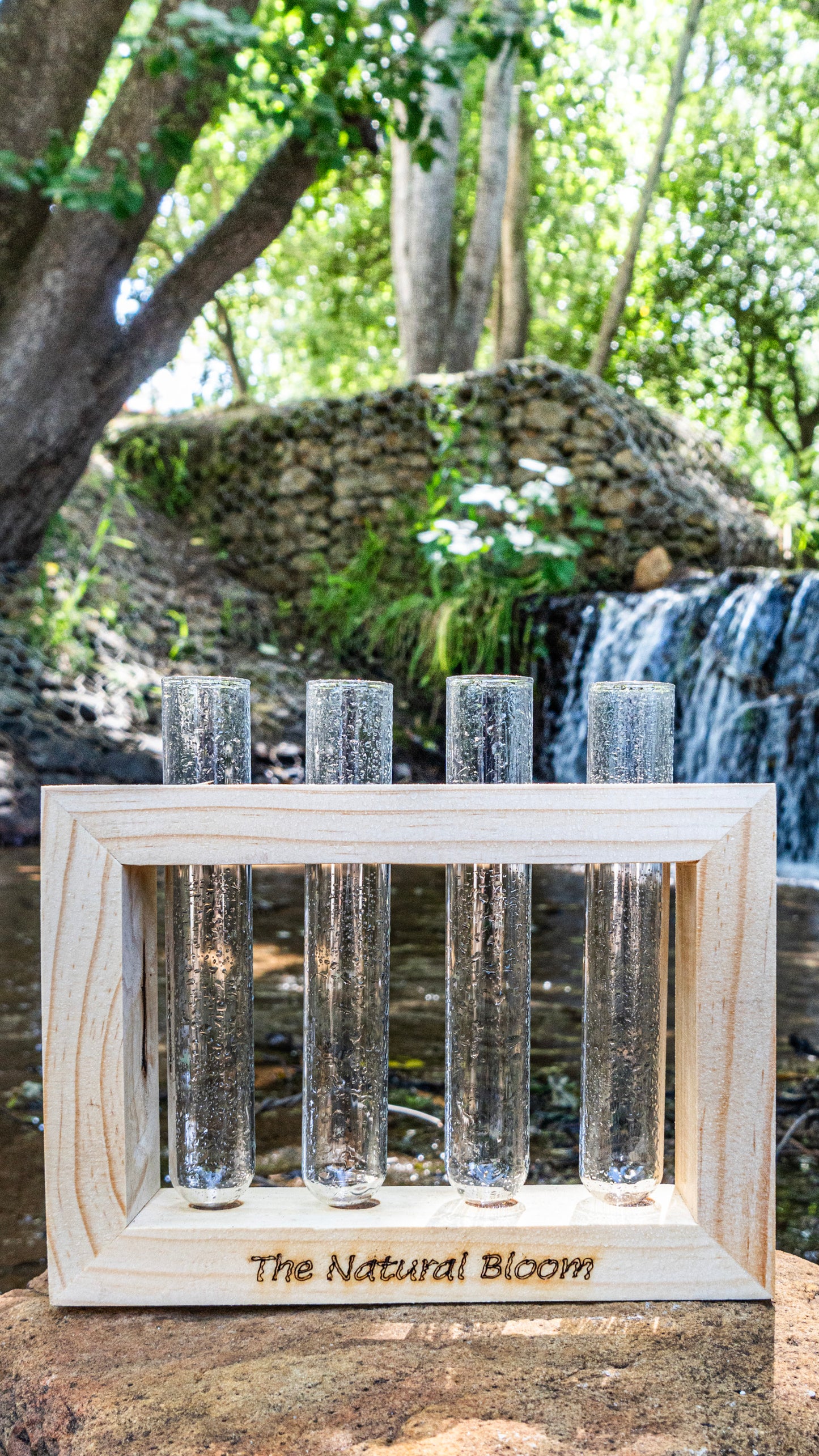 4-Tube Wooden Frame Propagation Station – Window Style Plant Holder