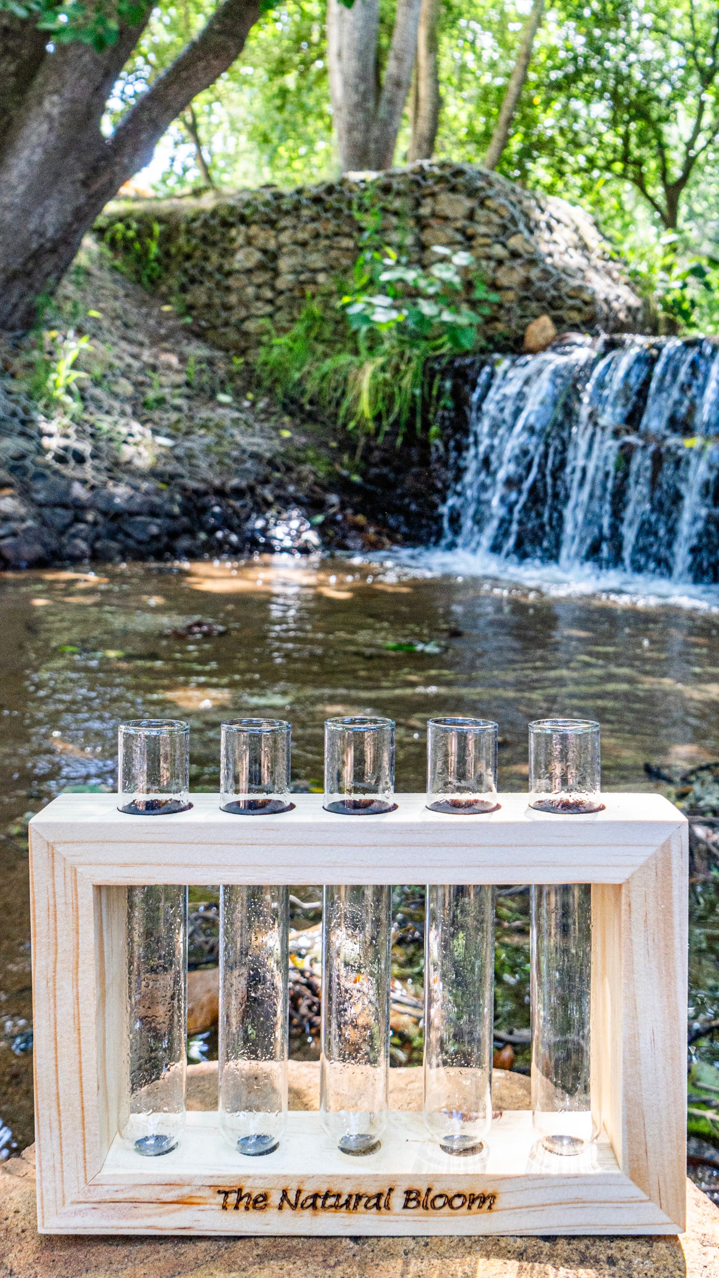 5-Tube Wooden Frame Propagation Station – Window Style Plant Holder