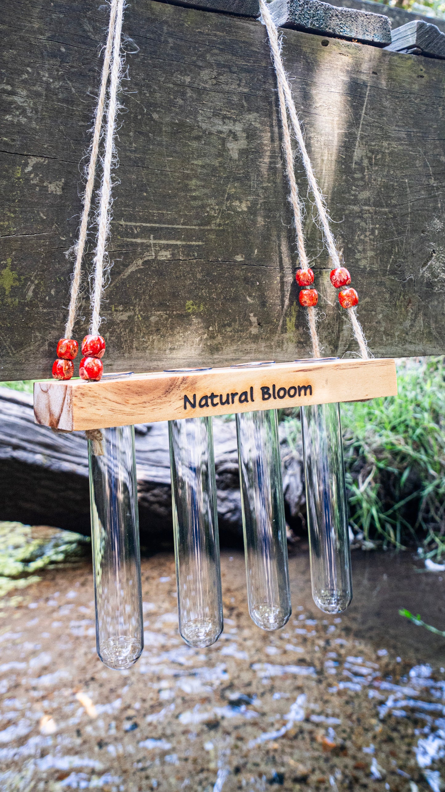 4-Tube Hanging Propagation Station – Wooden Hanging Plant Propagation Holder